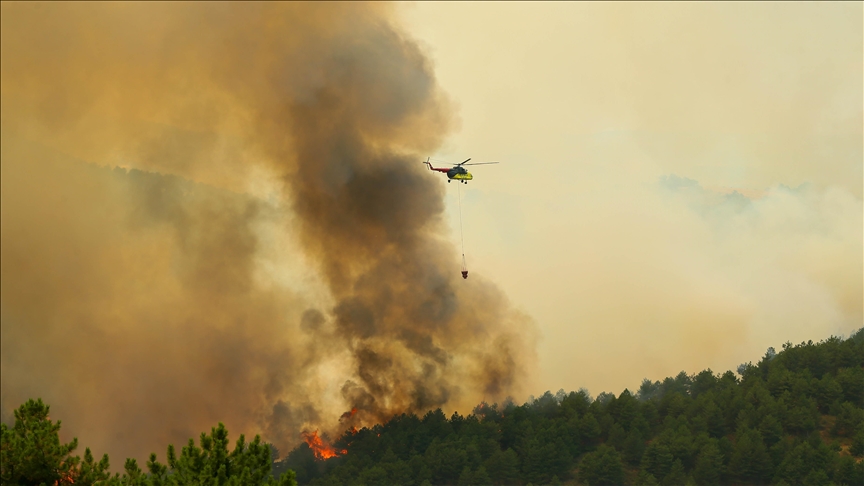 usakta-orman-yangini-1.jpg