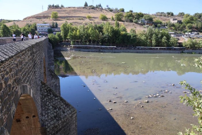 dicle-nehrinde-balik-olumleri-goruldu-3.jpg