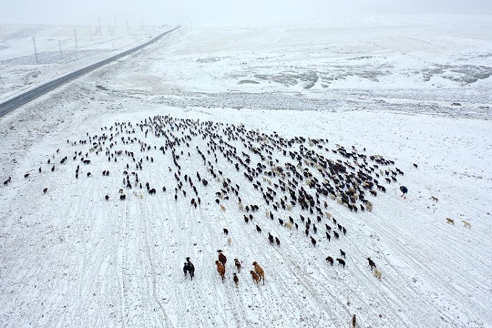 yayladan-donen-gocerler-kar-surprizi-2.jpg