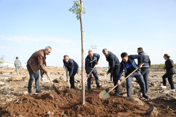 yesil-alanina-yapilan-saldiriya-karsi-120-yeni-agac-dikildi-3.jpg