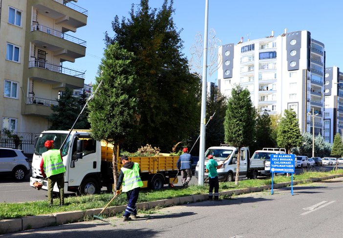 kent-genelinde-agac-budama-calismalari-basladi-1.jpg