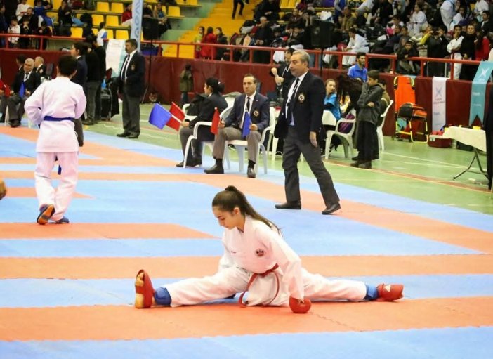 diyarbakir-turkiye-elit-karate-yildizlar-ligine-ev-sahipligi-yapacakd-2.jpeg