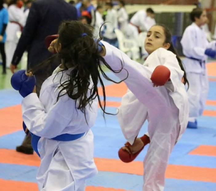 diyarbakir-turkiye-elit-karate-yildizlar-ligine-ev-sahipligi-yapacakd.jpeg