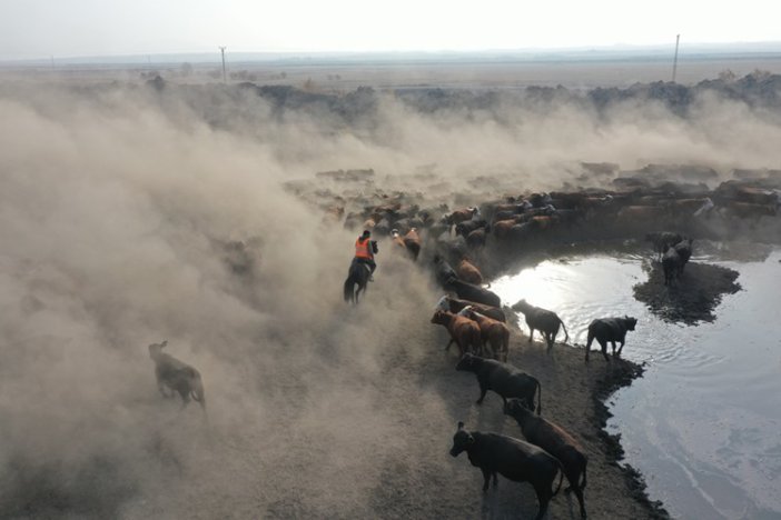 agri-daginin-kovboylari-yilki-atlariyla-suruleri-kontrol-ediyor-2.jpg