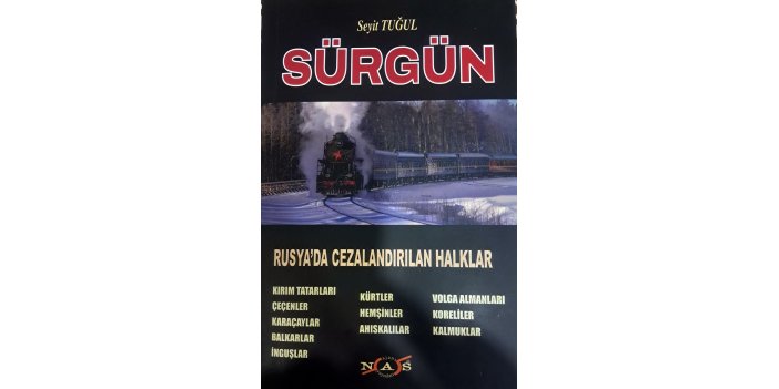 surgun-3.jpg