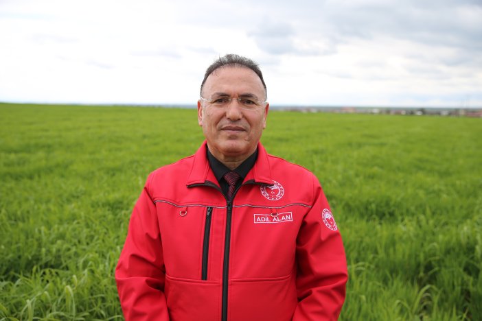 diyarbakirda-yagislar-bugdayda-yuksek-verim-beklentisini-artirdi-5.jpg