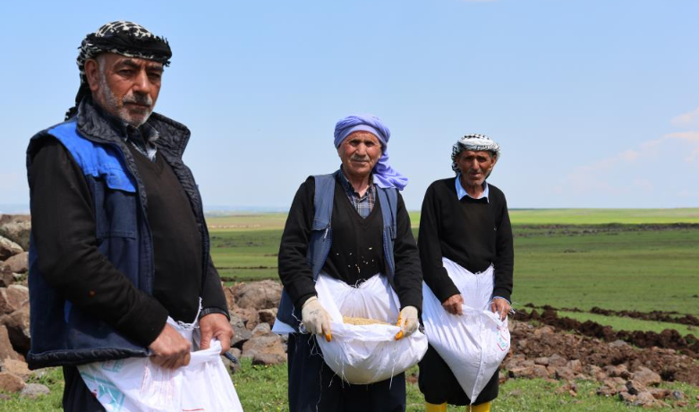 diyarbakirda-tescilli-karacadag-pirinci-icin-sezon-acildi-2.png
