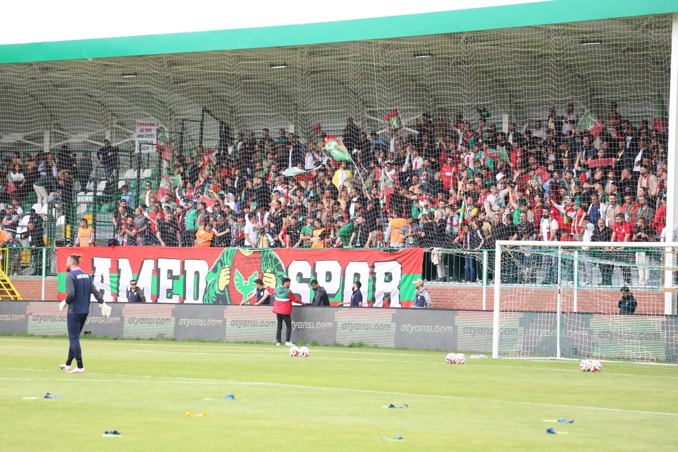 amed-1.jpg
