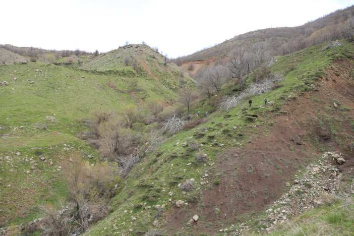 10-bin-yabani-ceviz-agaci-asiyla-verimli-hale-getiriliyor-3.jpg