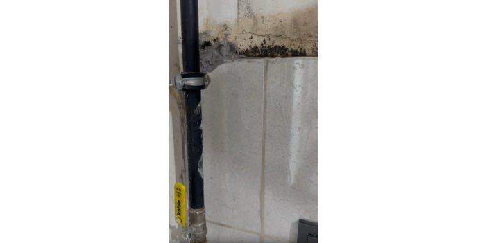 site-haber-1.png