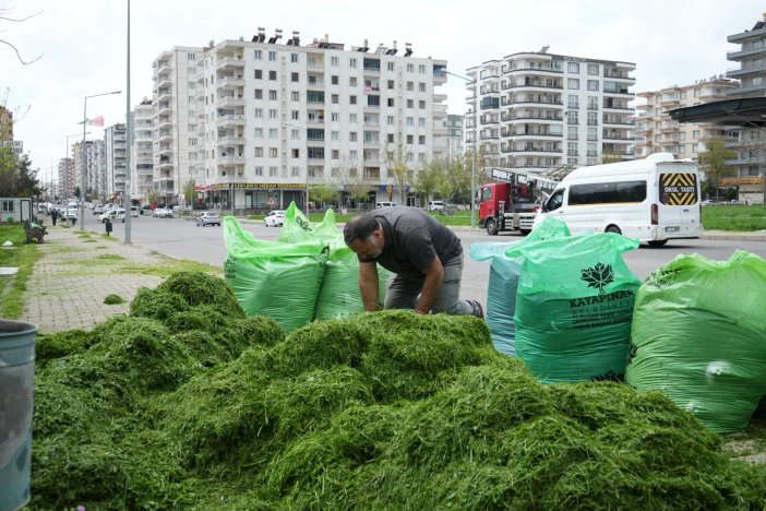 hayvan-besicilerini-mutlu-eden-cim-bicme-calismasi-2.jpeg