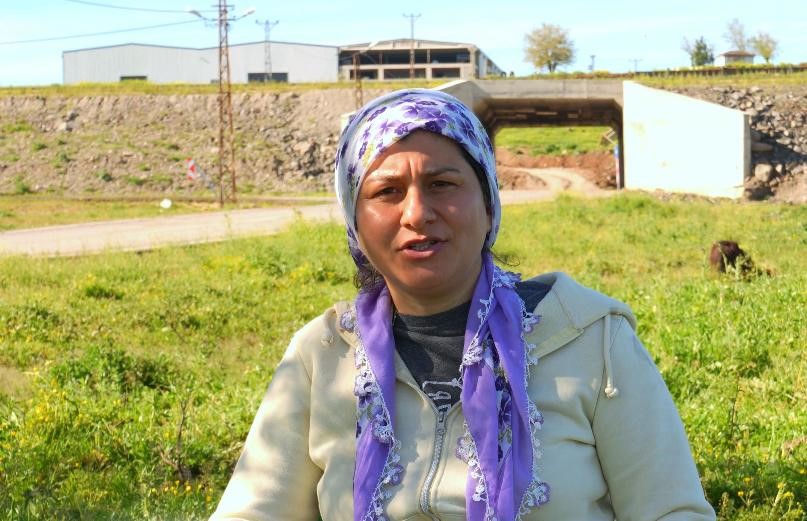devlet-destekleriyle-diyarbakirda-manda-sayisi-21-bin-500e-ulasti-3.jpg