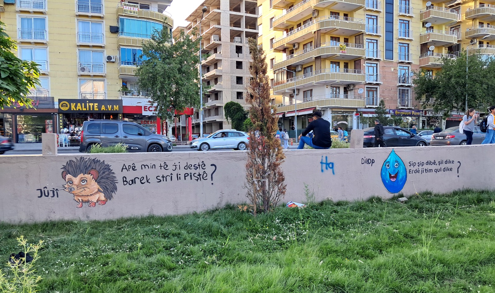 diyarbakirda-kurtce-bilmeceler-duvari-10.jpeg