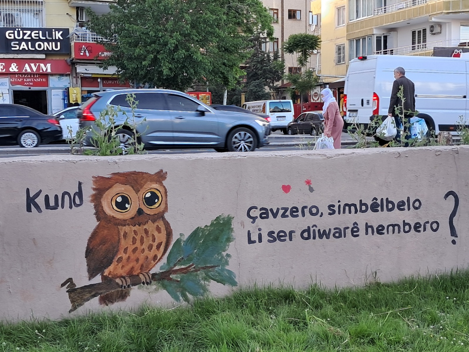 diyarbakirda-kurtce-bilmeceler-duvari-6.jpeg