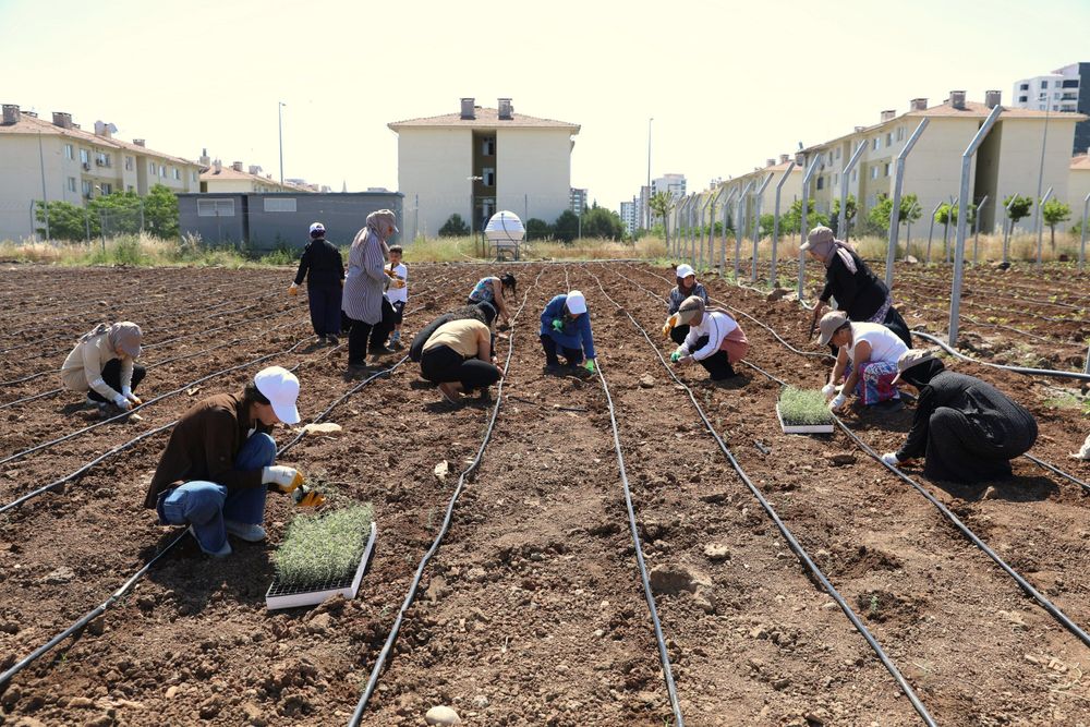 diyarbakir-3.jpg