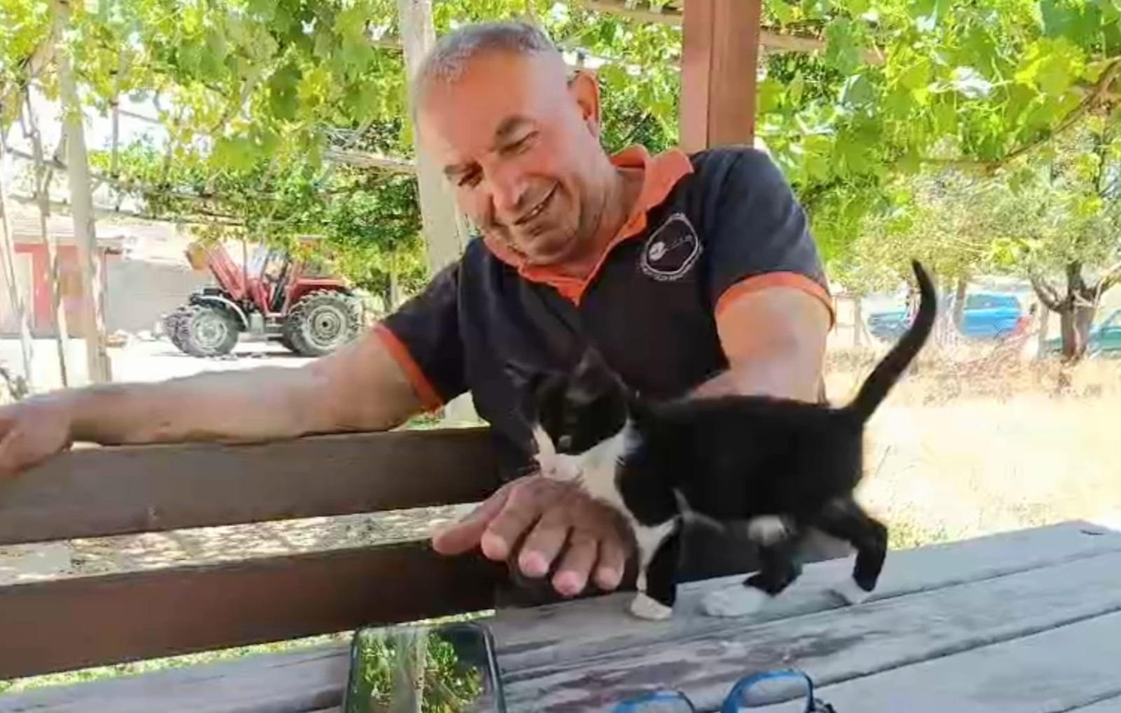 kedi-kopek-5.jpeg