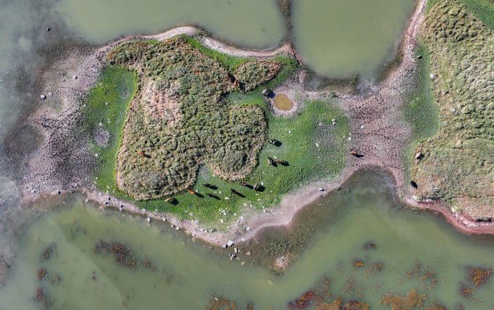 devegecidi-baraj-golu-ve-havzasi-canlilara-yasam-kaynagi-oldu-7.jpg