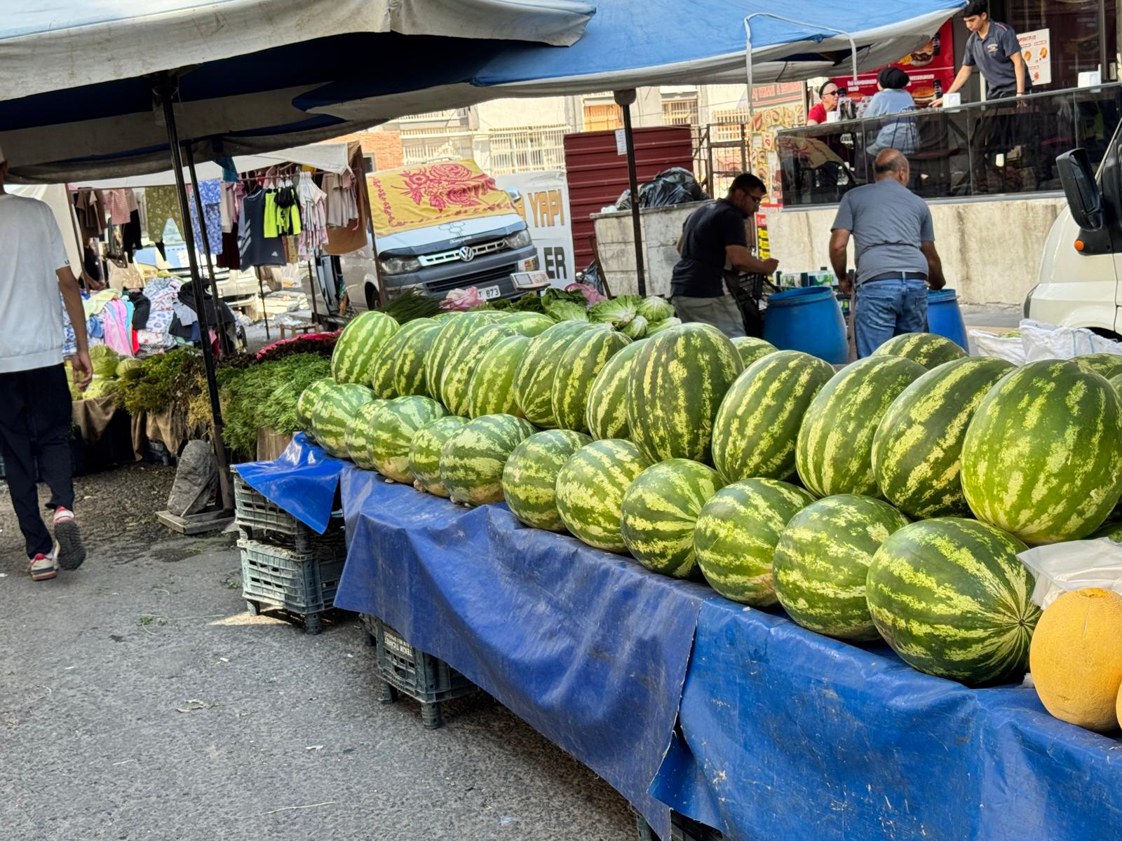 diyarbakir-karpuzu-pazar-tezgahlarinda-yerini-aldi1.jpeg