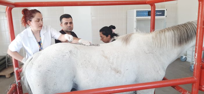 dicle-universitesinden-sampiyon-ata-fizik-tedavi-1.jpeg