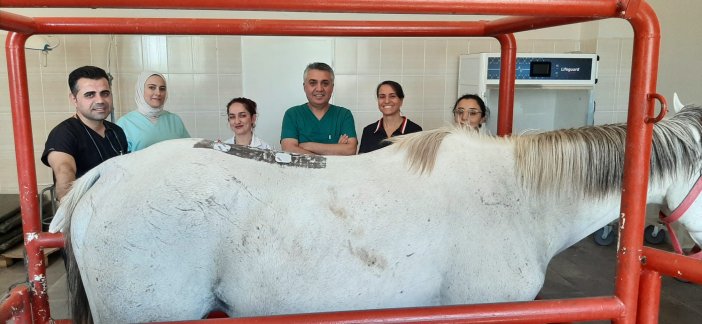 dicle-universitesinden-sampiyon-ata-fizik-tedavi-2.jpeg