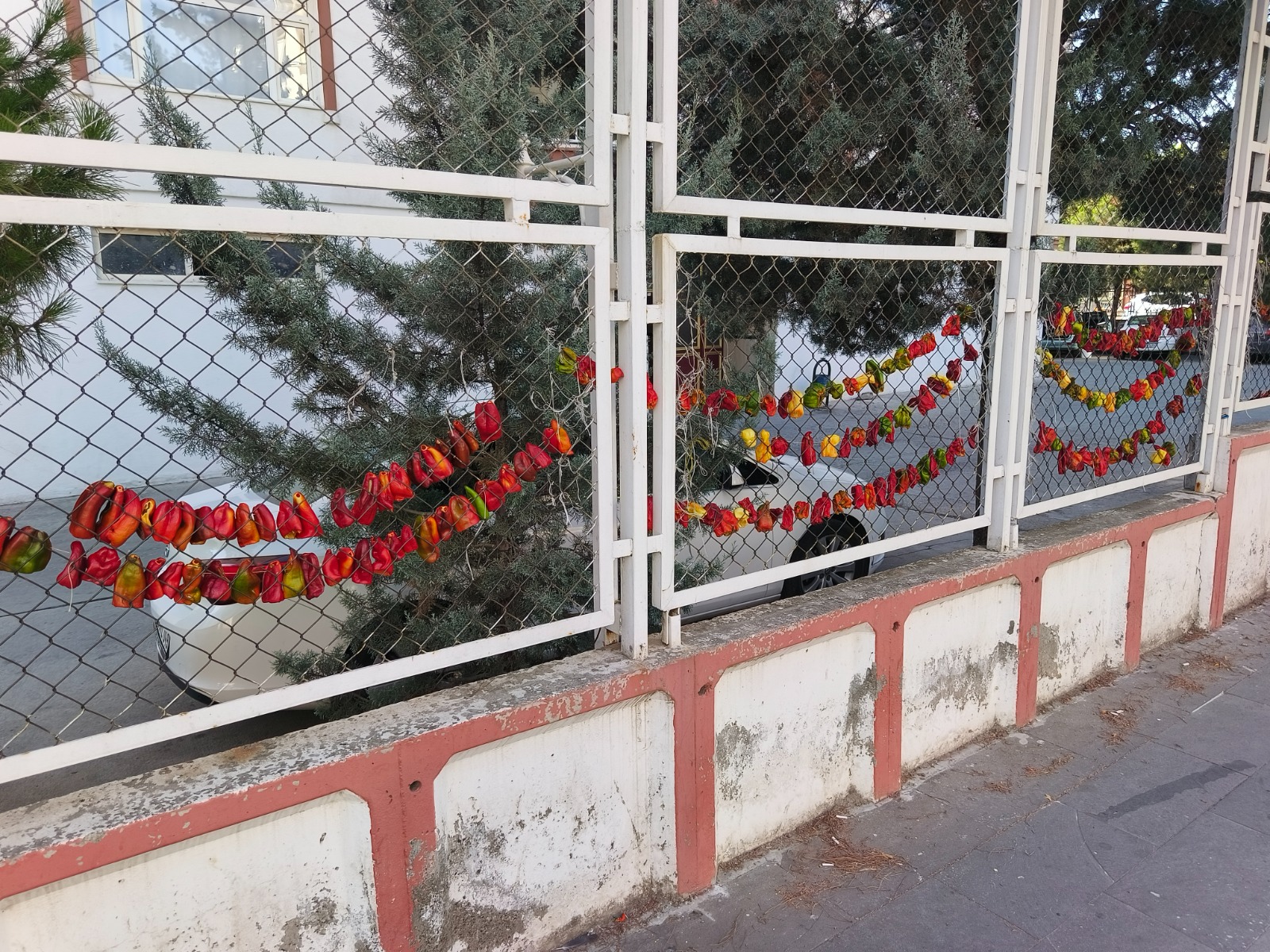 diyarbakirda-kis-hazirligi-basladi-3.jpeg