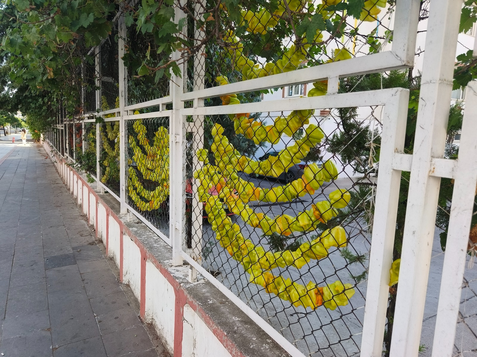 diyarbakirda-kis-hazirligi-basladi-5.jpeg