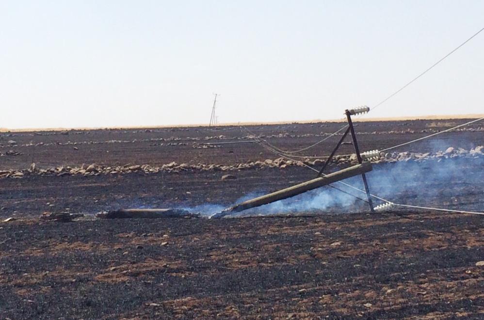 dicle-elektrikten-aniz-yanginlarina-karsi-surdurulebilirlik-cagrisi.jpg