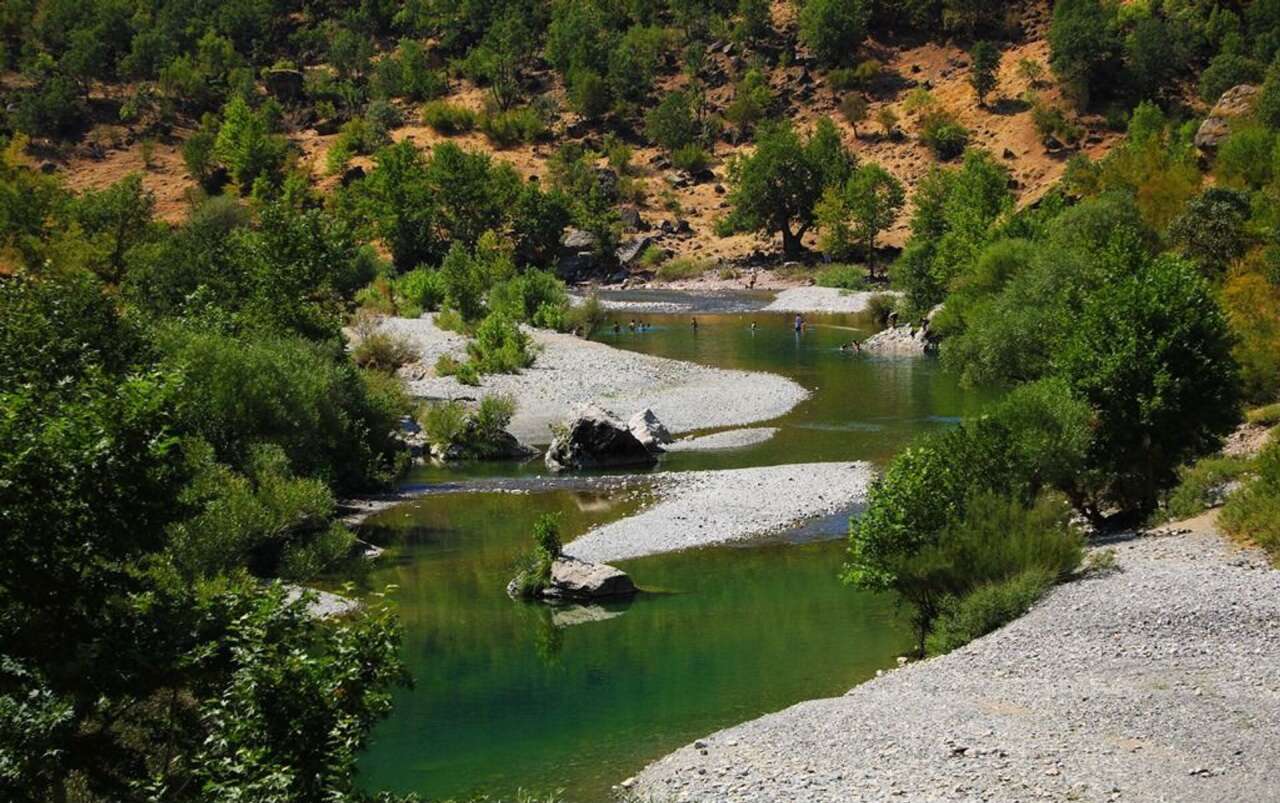 sarim-cayi-icin-verilen-hukuki-mucadele-sonuc-verdi-2