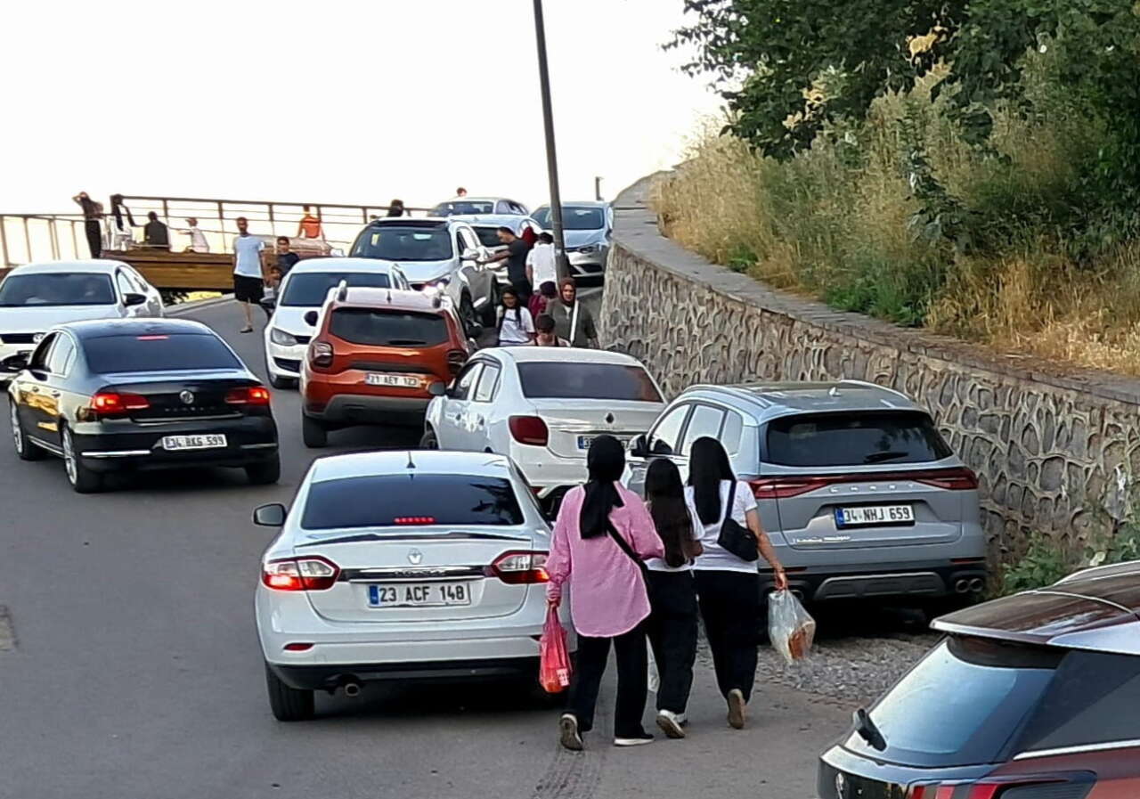 diyarbakirda-yayalarin-urktugu-yol-4