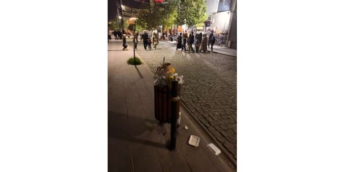 diyarbakirda-turistler-bu-manzarayla-karsilasiyor-2