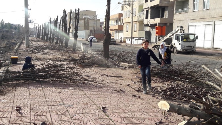 budanan-agaclarin-dallari-yakacak-oldu_1047_dhaphoto2.jpg