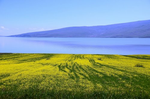 cildir-golu-2.jpg cildir-golu-2.jpg