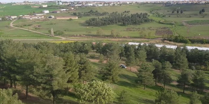 diyarbakir-kent-ormani’nin-talanina-yargi-izin-vermedi-(1).jpg