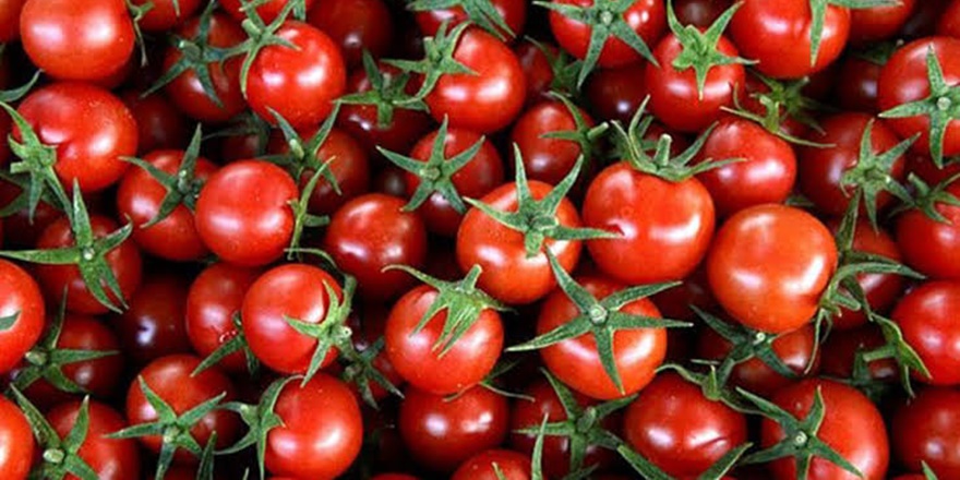 domates-001.jpg