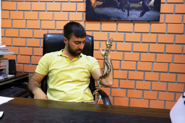 dostum-dedigi-piton-yilanina-gozu-gibi-bakiyor-001.jpg