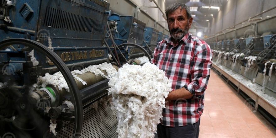 gap-pamuk-uretimini-arttirdi-(1).jpg