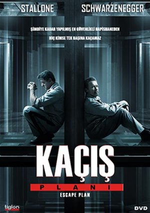 kacis.jpg