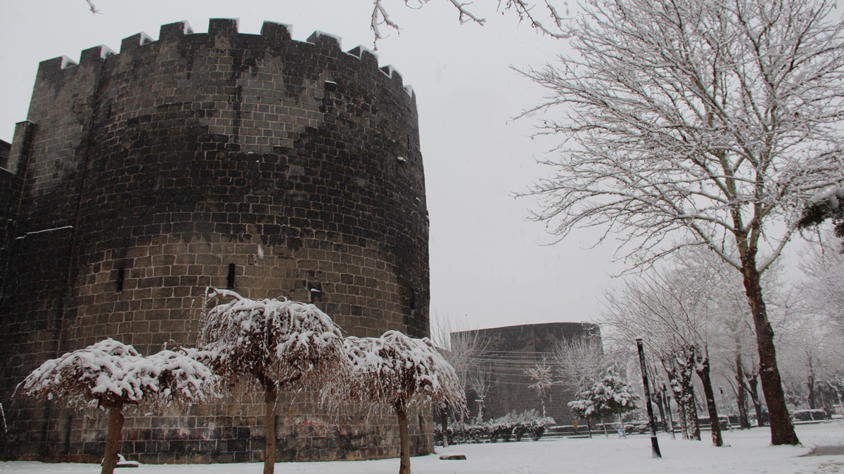 kar-tigris1- yılmaz yiğitler 001.jpg