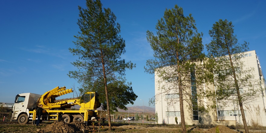 siirtte-sular-altinda-kalacak-agaclarin-universite-yerleskesine-nakli-(2).jpg