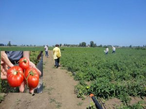 sulama-2.jpg sulama-2.jpg