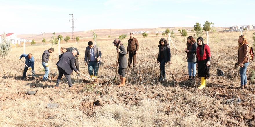 surda-katledilen-390-kadin-icin-fidan-dikimi-(1).jpeg