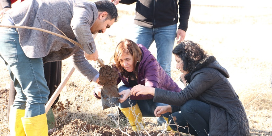 surda-katledilen-390-kadin-icin-fidan-dikimi-(2).jpeg