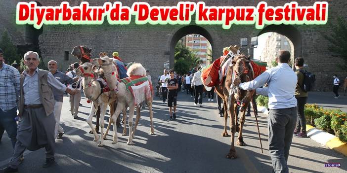 Diyarbakır’da 'Develi' karpuz festivali