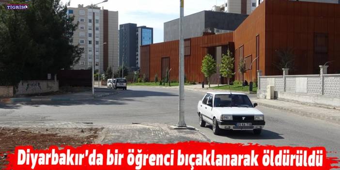 Diyarbakır’da bir öğrenci bıçaklanarak öldürüldü