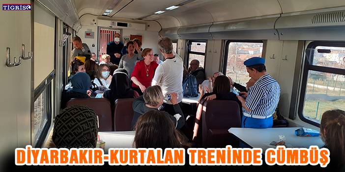 Diyarbakır-Kurtalan treninde cümbüş