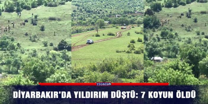 Diyarbakır’da yıldırım düştü: 7 koyun öldü