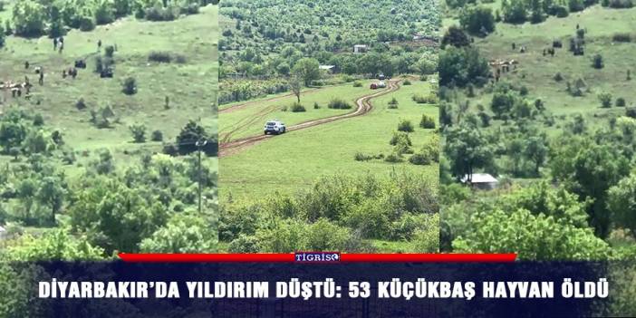 Diyarbakır’da yıldırım düştü: 53 küçükbaş hayvan öldü