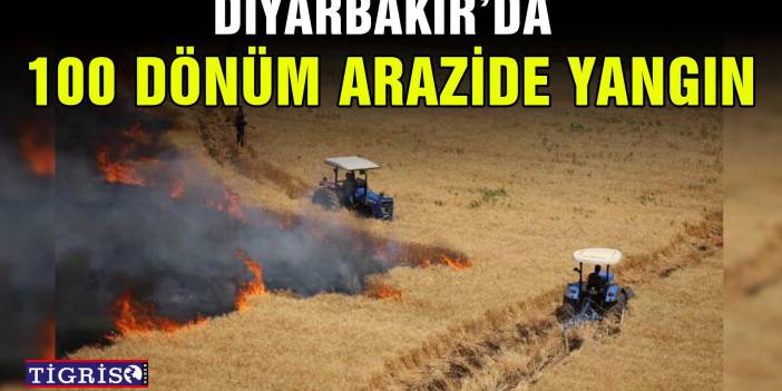 Diyarbakır’da 100 dönüm arazide yangın