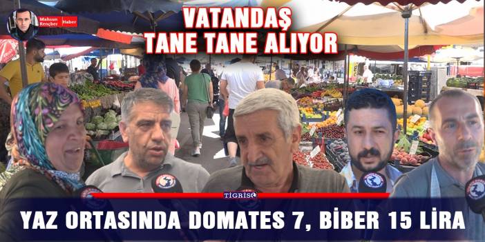 Yaz ortasında domates 7, biber 15 lira: Vatandaş tane tane alıyor
