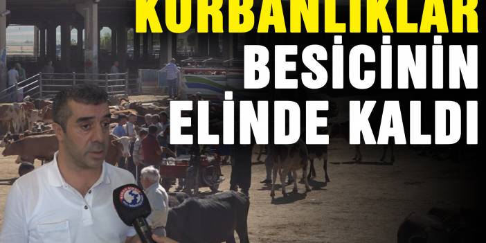Diyarbakır Kasaplar Odası Başkanı Atlı: "Kurban satışları yüzde elli düştü"